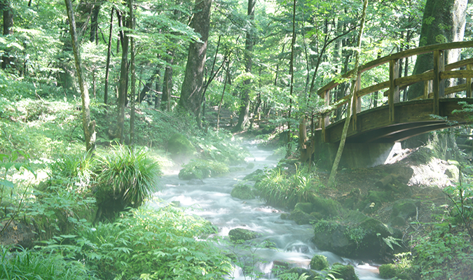 塩谷町・尚仁沢湧水群