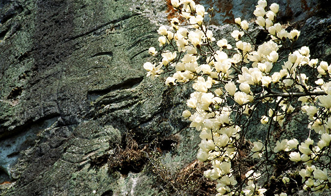 塩谷町・佐貫観音
